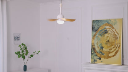 16 Inch Socket Ceiling Fans with Dimmable LED Light 2 in 1 Screw Small Ceiling Fan